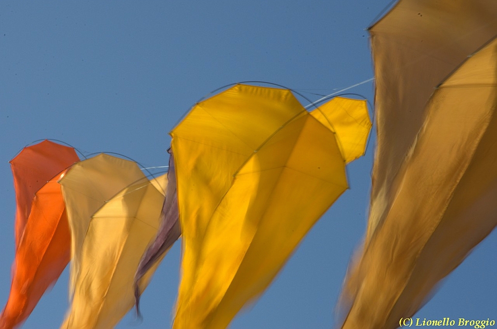 32 FESTIVAL CERVIA 2012 - 086.jpg